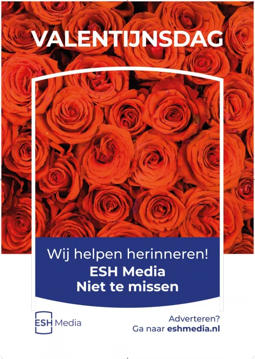 niet te missen campagne a0 poster valentijn